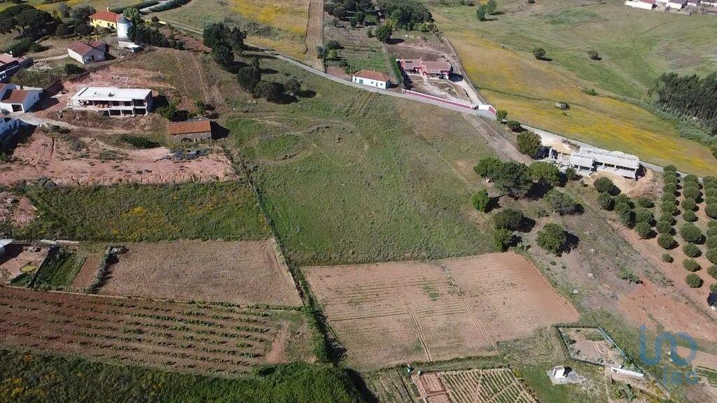 Terreno - Torres Vedras