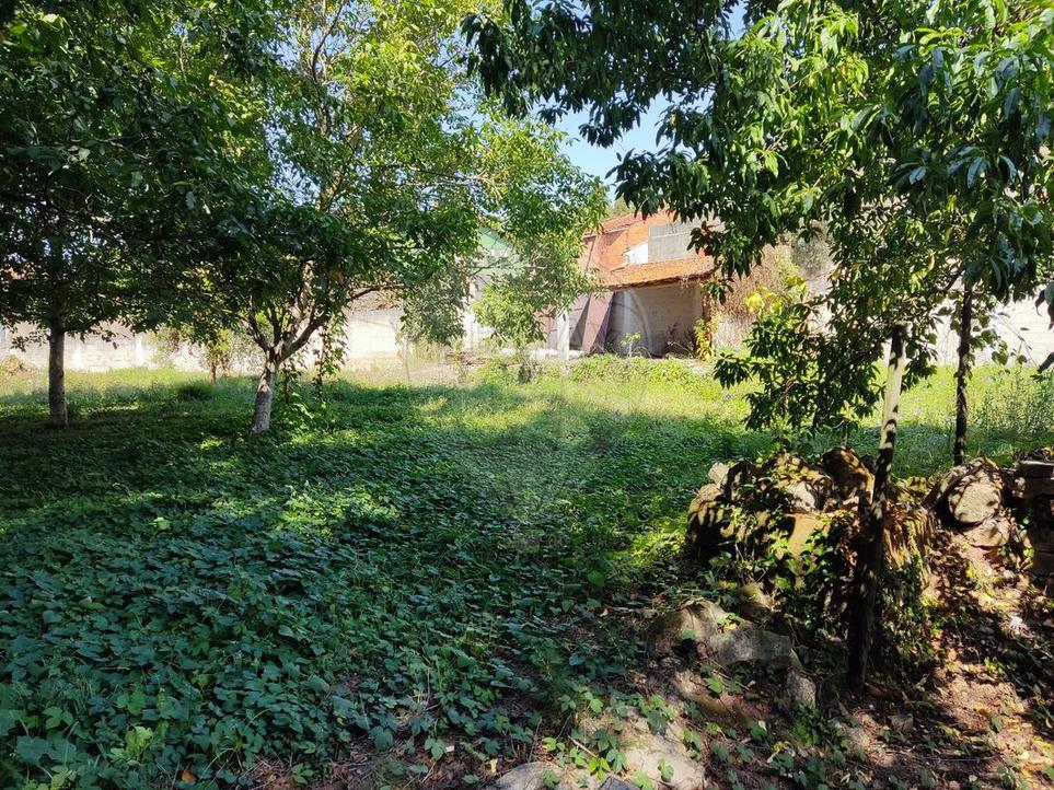 Terreno T0 - Coimbra