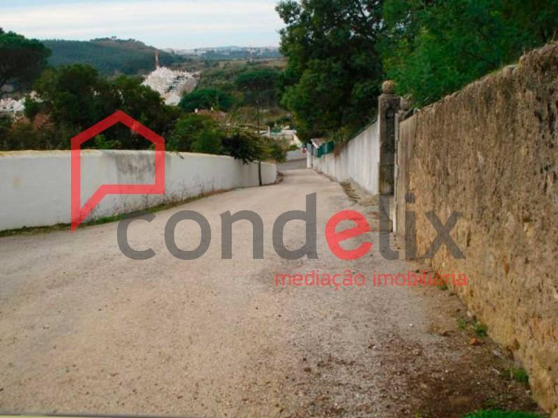Lote - Sintra