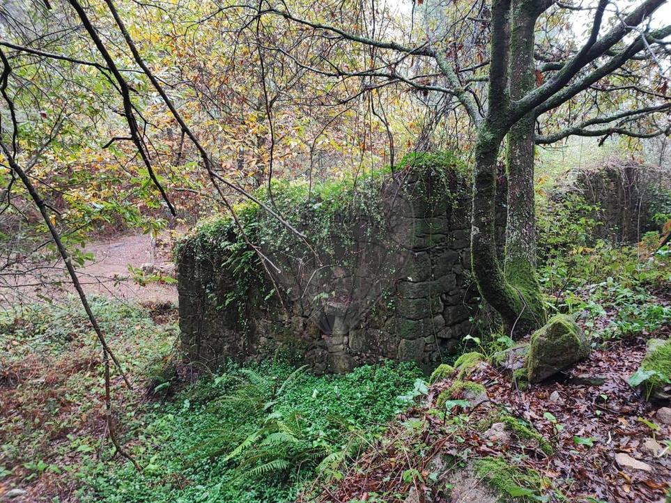 Quinta/Herdade T0 - Ponte de Lima