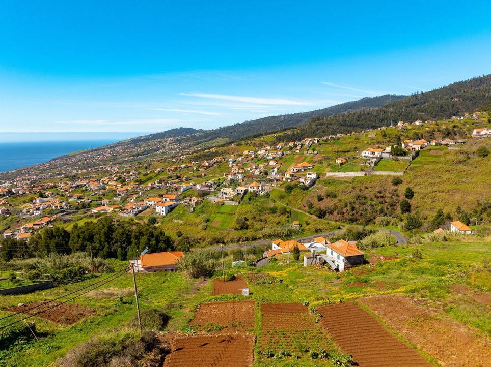 Terreno - Calheta (Madeira)