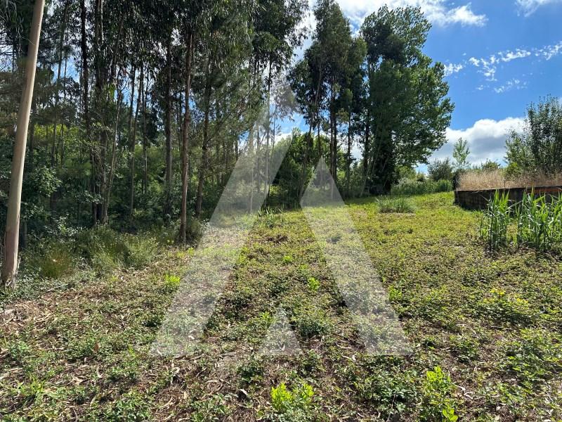 Terreno - Oliveira do Bairro