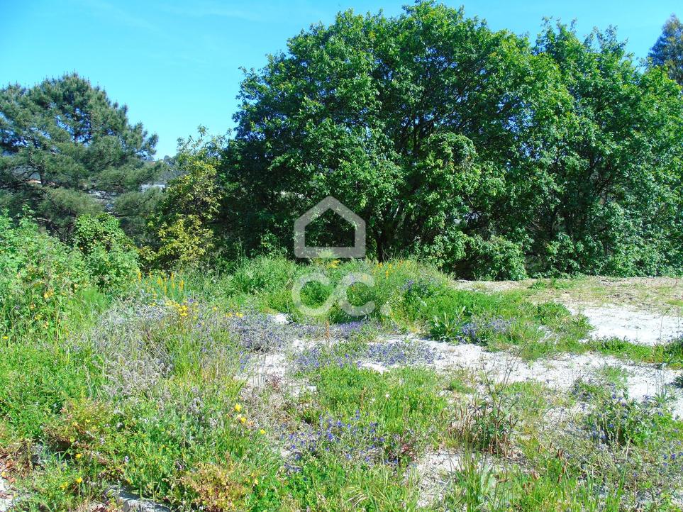 Terreno N/ Determi - Vila Nova de Famalicão