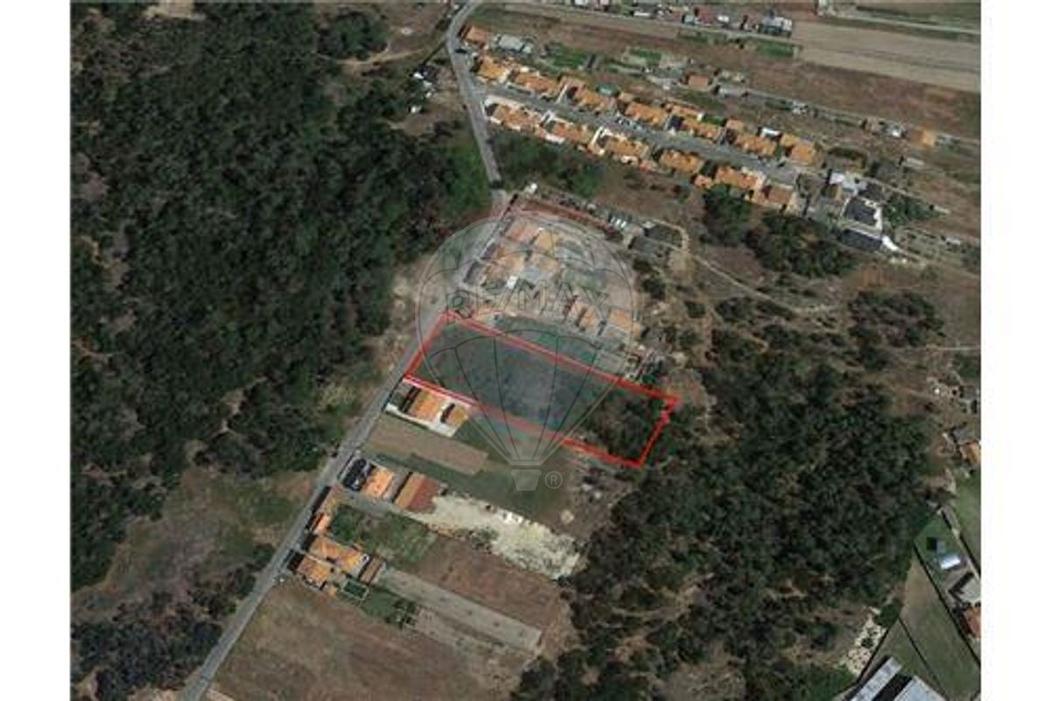 Terreno T0 - Murtosa