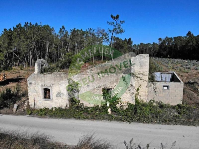 Quinta/Herdade - Cantanhede