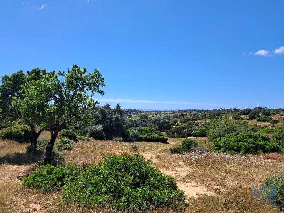 Terreno - Lagoa (Algarve)
