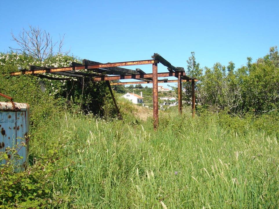 Terreno - Torres Vedras