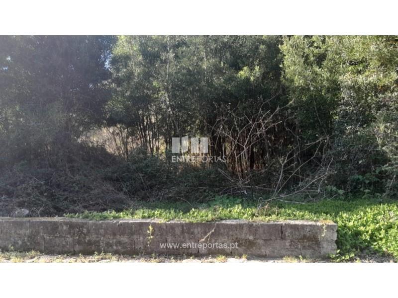 Terreno T1 - Caminha