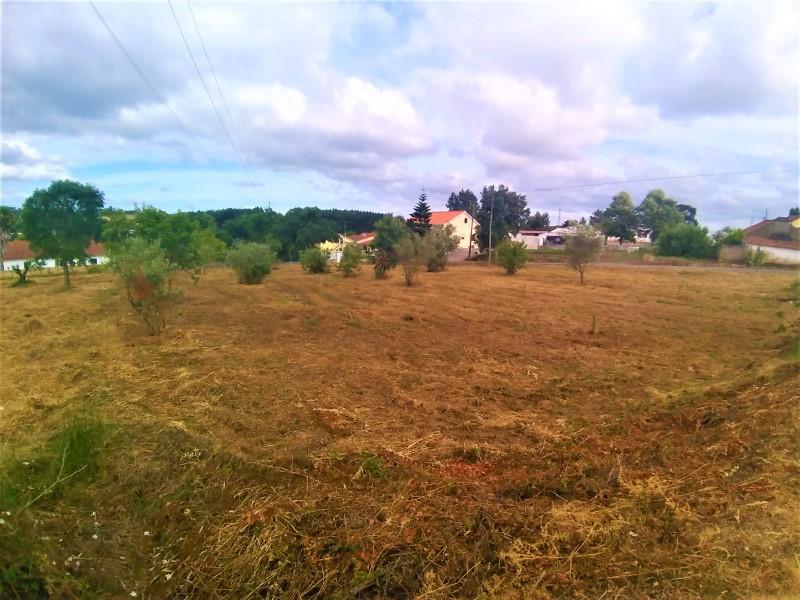 Terreno - Tomar