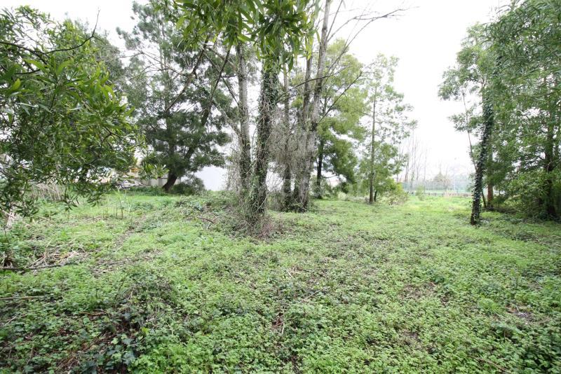 Lote N/ Determi - Marinha Grande