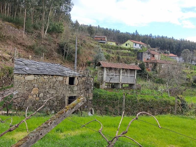 Terreno Misto N/ Determi - Cinfães