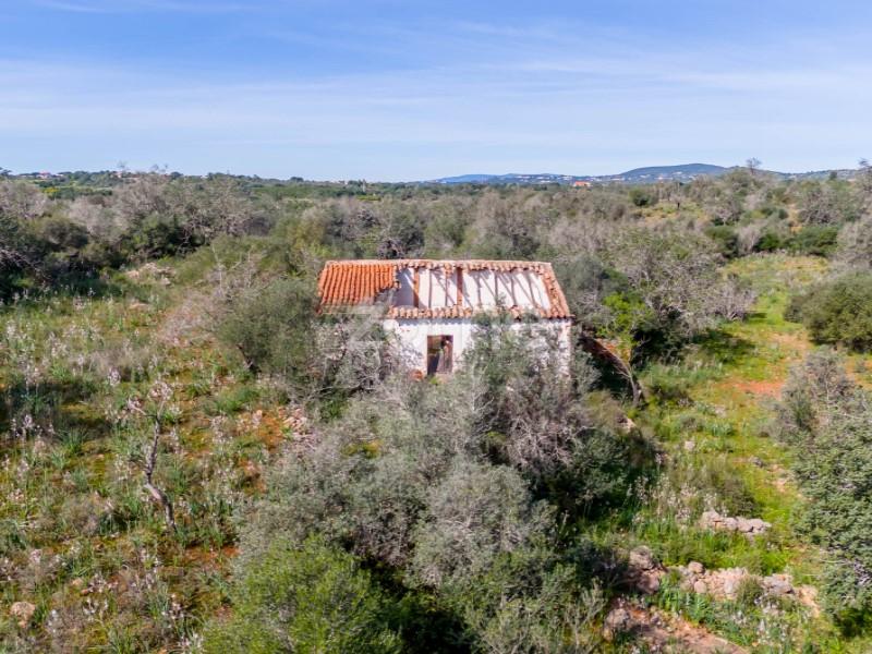 Terreno - Silves